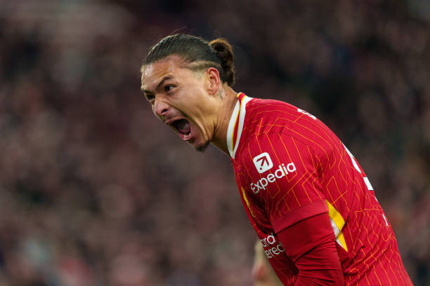 球迷和股東 球迷和股東